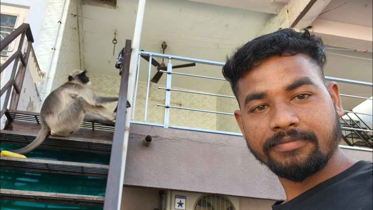 આજે અમારી સોસાયટીમાં વાંદરો આવી ગયો! 😱 |Gujrati vlogs