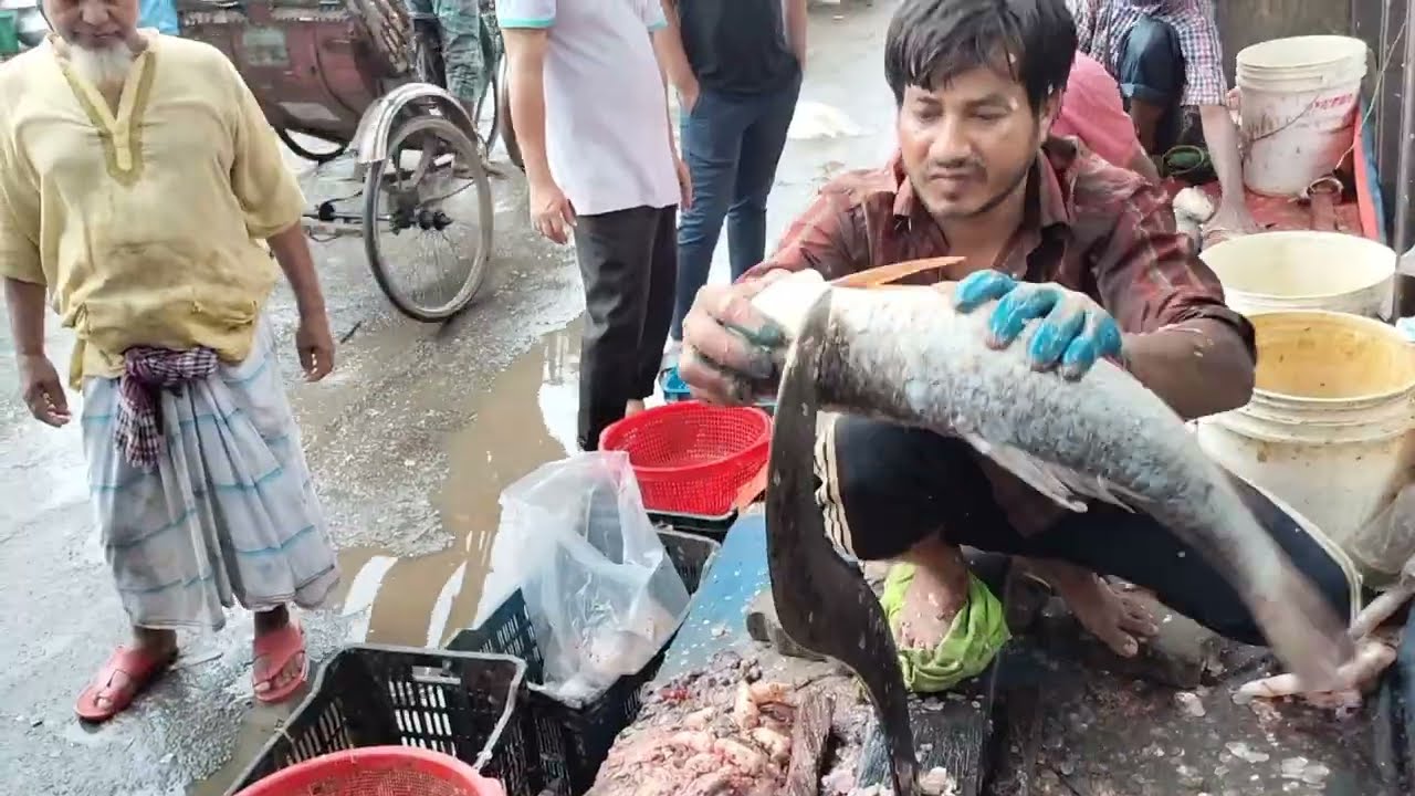 Pleasing Knife Skills Of Cutting Rohu Fish, Big Rui Fish Skinning And Chopping By Expert Fish Cutter