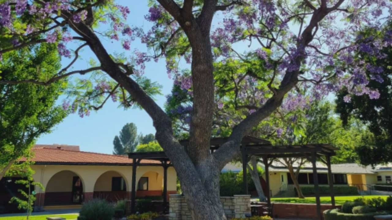 Rancho San Antonio | Serving Youth and Families Across Los Angeles County