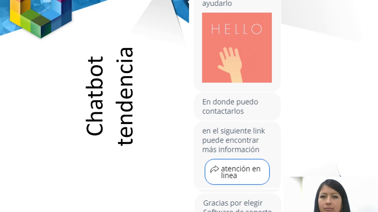Software de Soporte Online