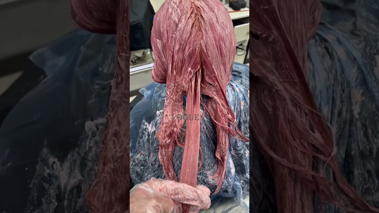 Beautiful Dip Red Hair Color Dip Red Look ❤️✨