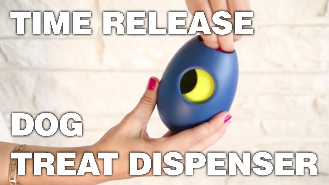 Tikr: A Time Released Treat Dispensing Dog Toy