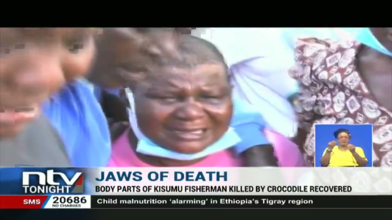 Kisumu : Parts of a body belonging to a fisherman who was killed by a crocodile retrieved