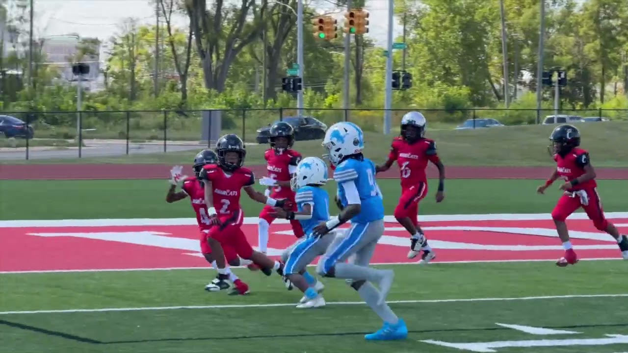 10U Lions Vs. Bearcats