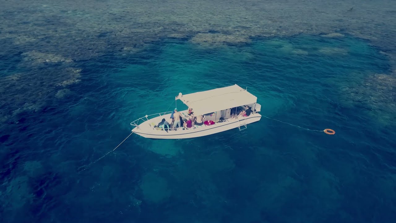 Yanbu Dive trip July 2021