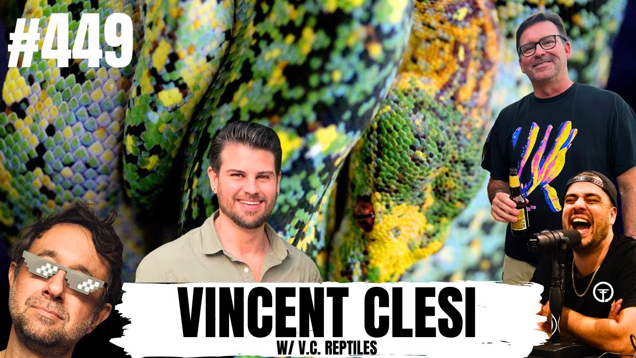 How Vince feels about his Green Tree Python pairings in 2024 | All In The Tree Tuesday's