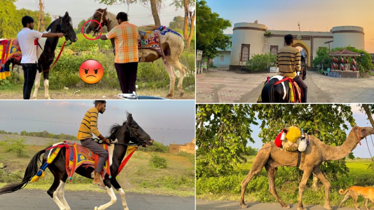 Aaj to hamare ghode ko dusri ghodi ke pass leke gaye 😱 or ye kya huva 😡