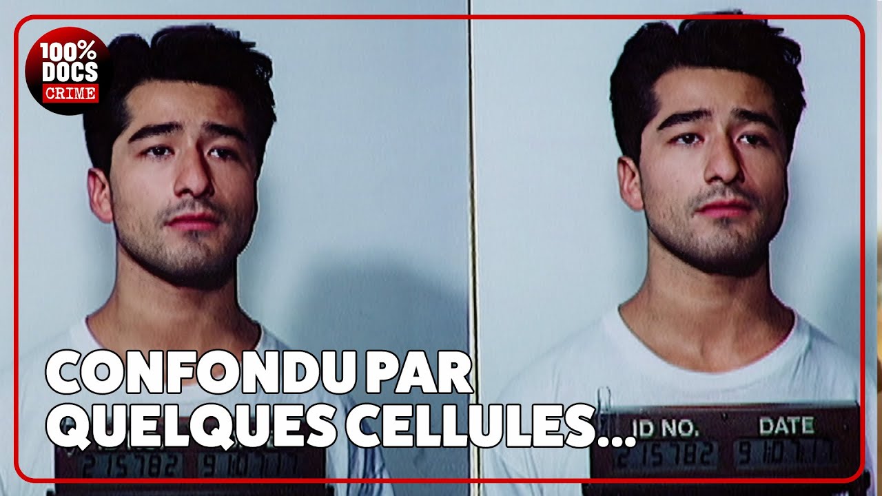 ADN : de micro cellules qui l'envoient... EN CELLULE