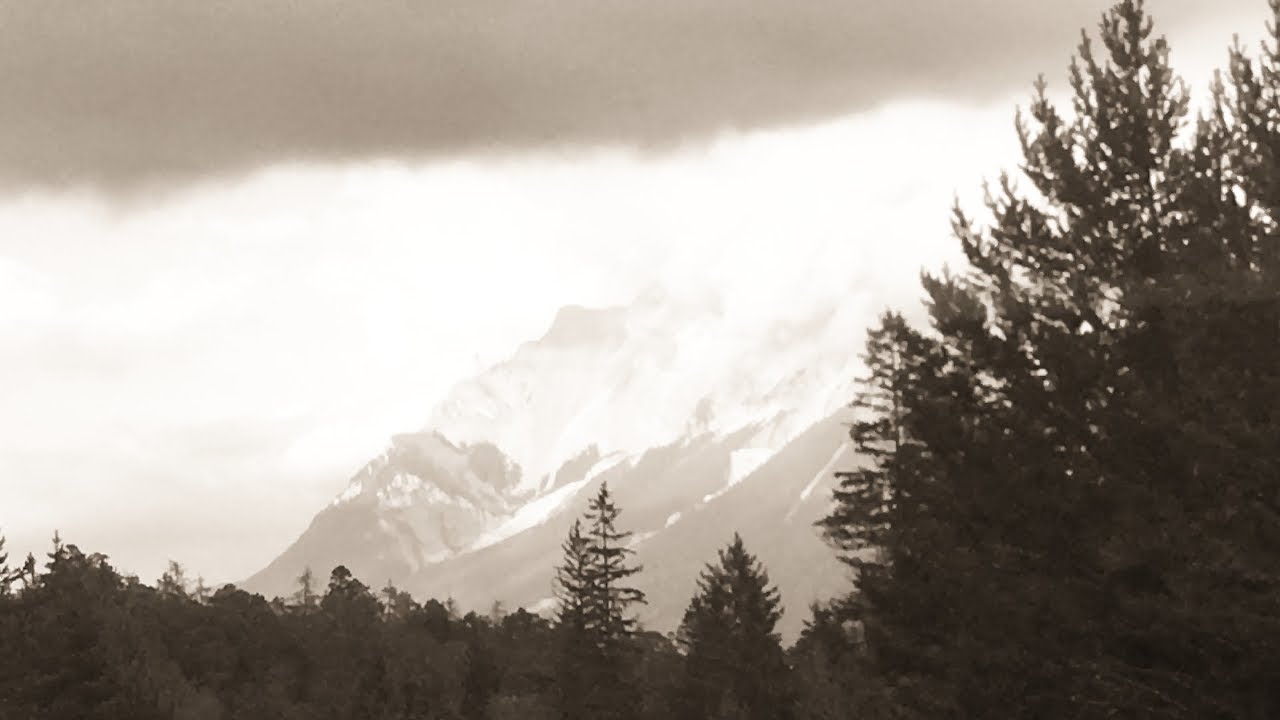 Woog Riots - Good Scientist