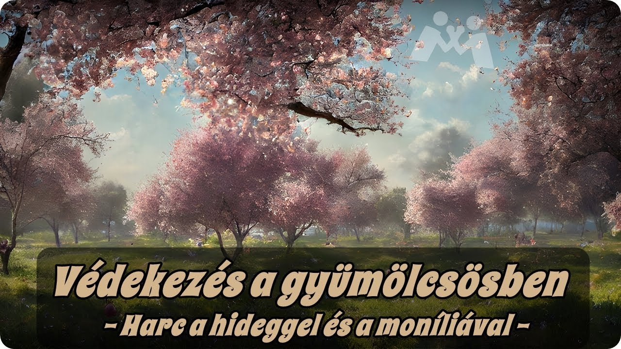 🌳Védekezés a gyümölcsösben  - Harc a hideggel és moníliával 🌳❄