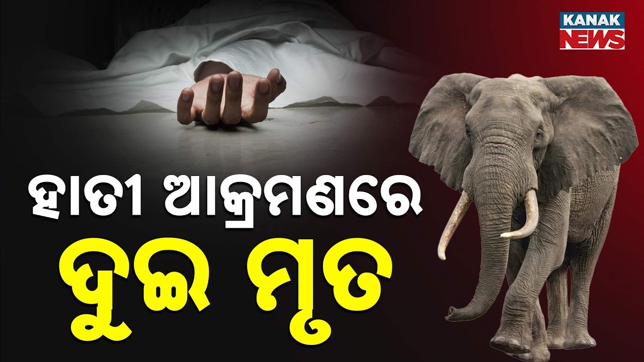 Two Villagers Killed in Elephant Attack in Ganjam’s Digapahandi Area | Odisha News