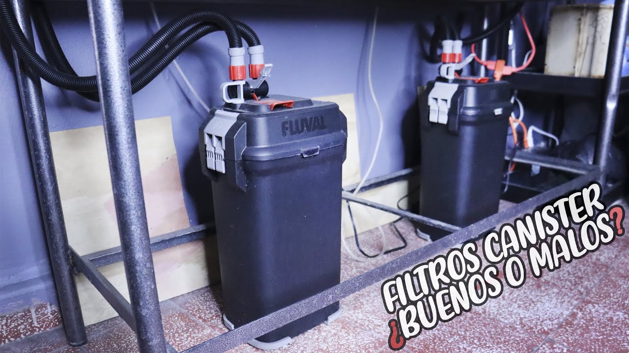 Mi EXPERIENCIA con los FILTROS CANISTER ¿BUENOS O MALOS? | AcuariosLP