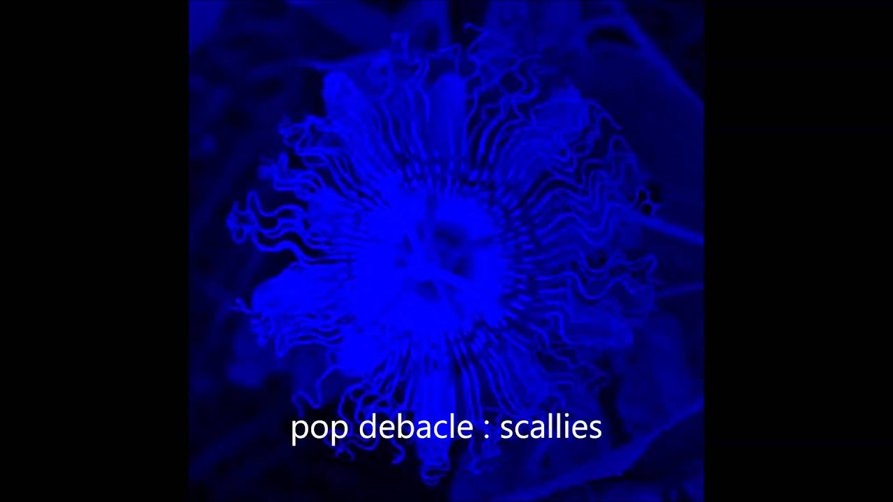 pop debacle scallies