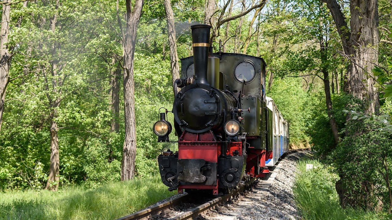 Parowóz Borsig Bn2t 11458 oraz wagon spalinowy MBxc1-41 na Maltance 2023.05.13
