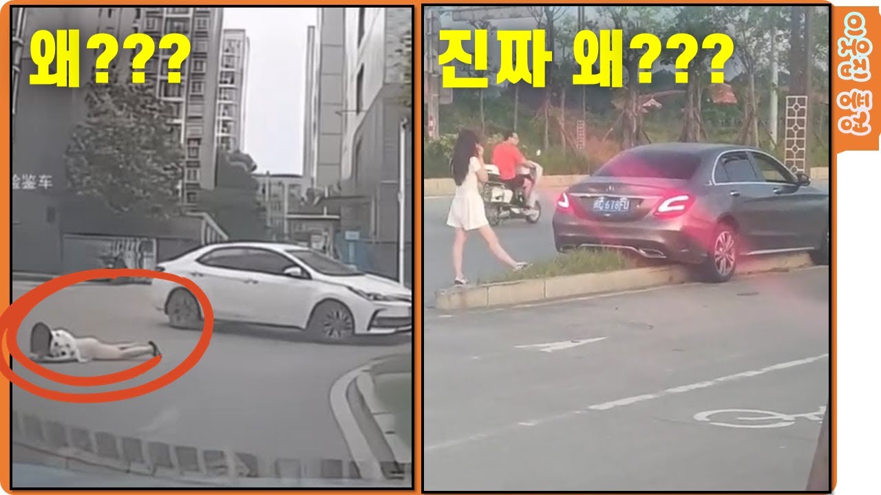 차원이 다른 중국 왕여사가 핸들을 잡으면 생기는 일