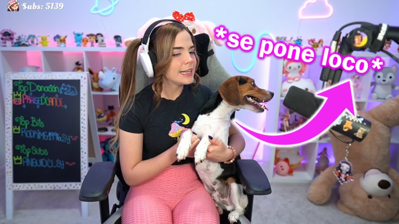 Staryuuki JUGANDO CON TOBBY🐶 EN DIRECTO
