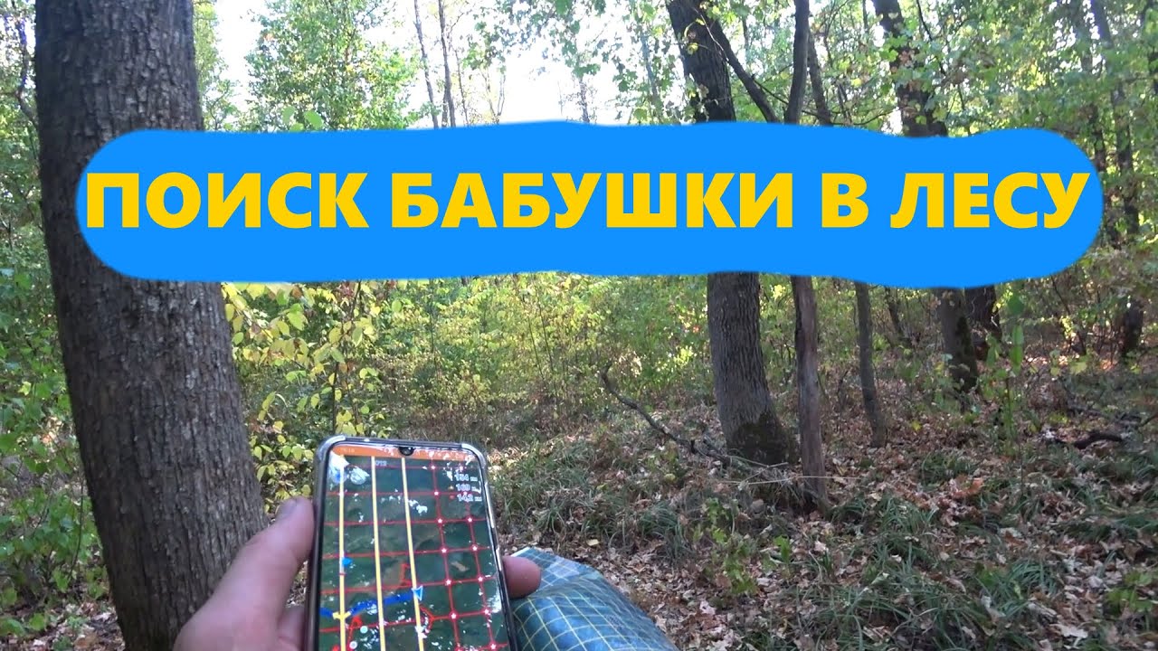 Поиск бабушки в лесу в Терновой. Поисково-спасательный отряд МИЛЕНА. Бабушка не найдена! 