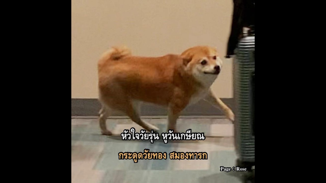 🔴 Live  คอมกาก ก็เล่นได้