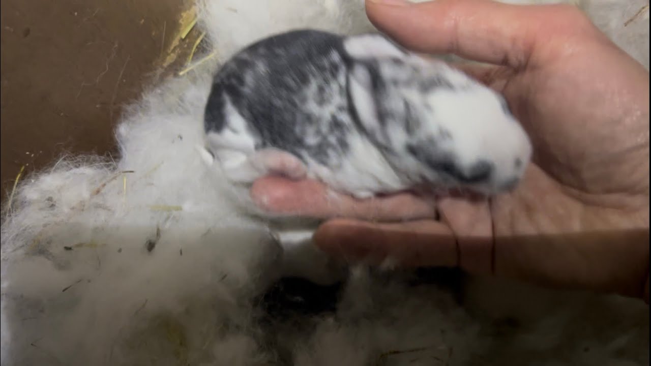 Наслідки довготривалого морозу.