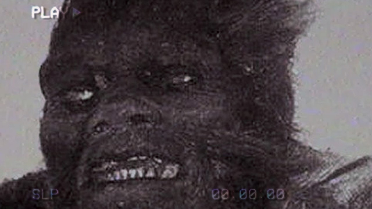 Disturbing Real Cryptid Sightings Captured by Accident