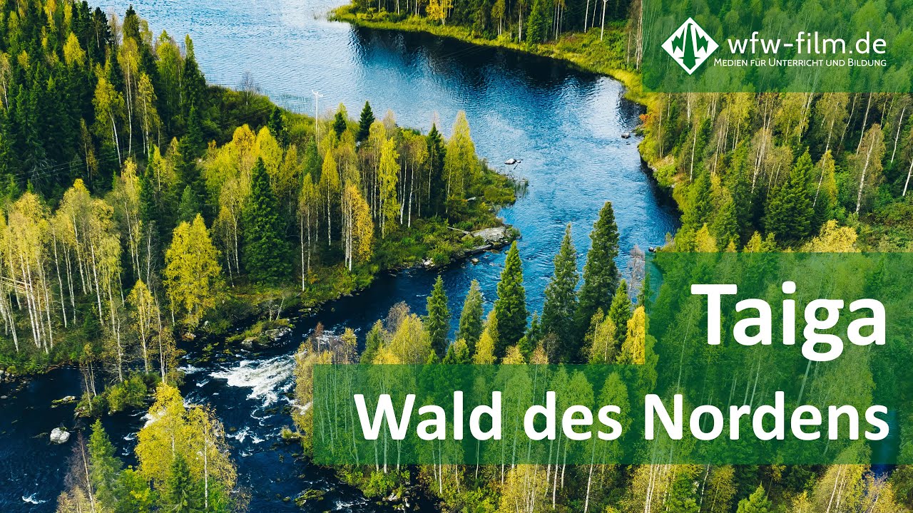 Taiga – Wald des Nordens