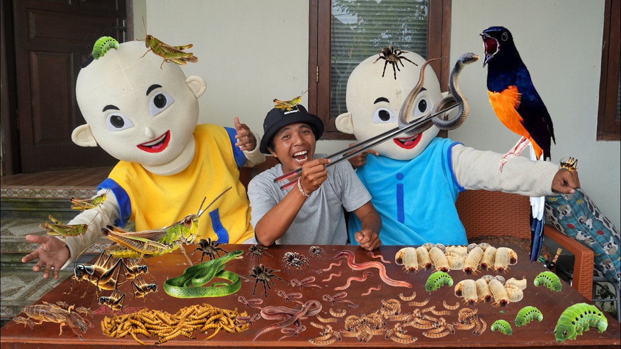 KITA MENANGKAP HEWAN LUCU UNTUK PAKAN BURUNG UPlIN?!