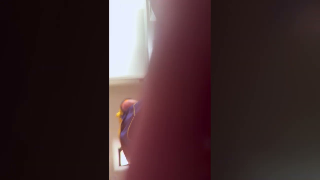 POV You Are Ant In My House 2