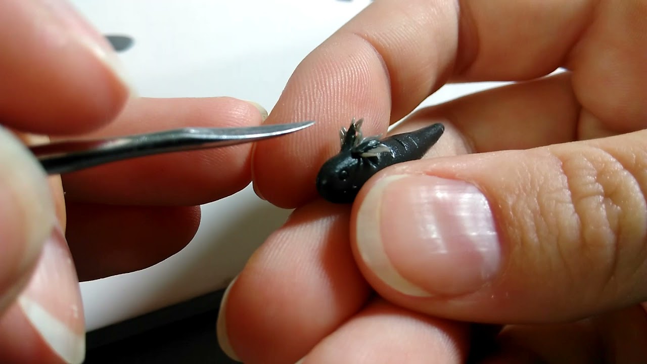 Sculpting an Axolotl from Polymer Clay