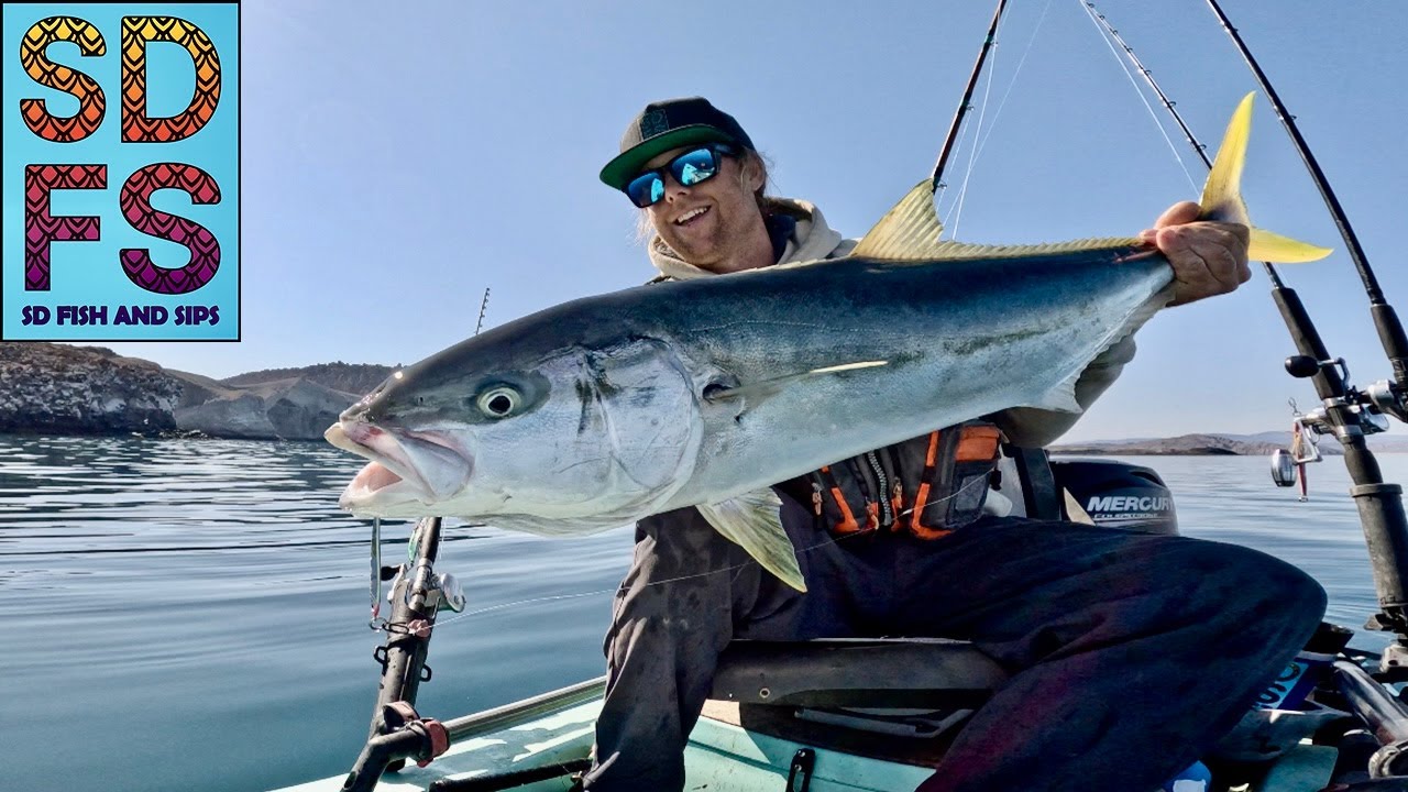 BAJA MAGIC Yellowtail & Grouper | SOLO SKIFF Fishing Baja California Mexico Sea of Cortez Spring 25