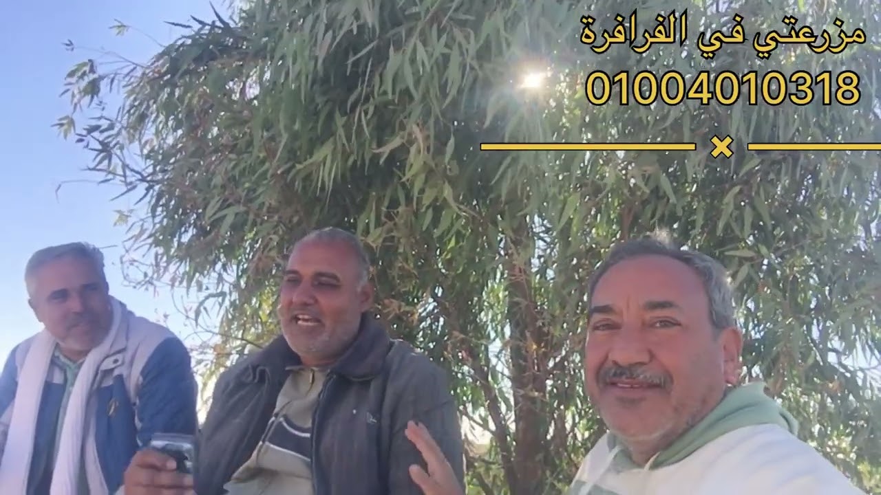 @مزرعتي في الفرافرة  لقاء مع استاذ / خالد سعيد @يوميات مزارع في الفرافرة