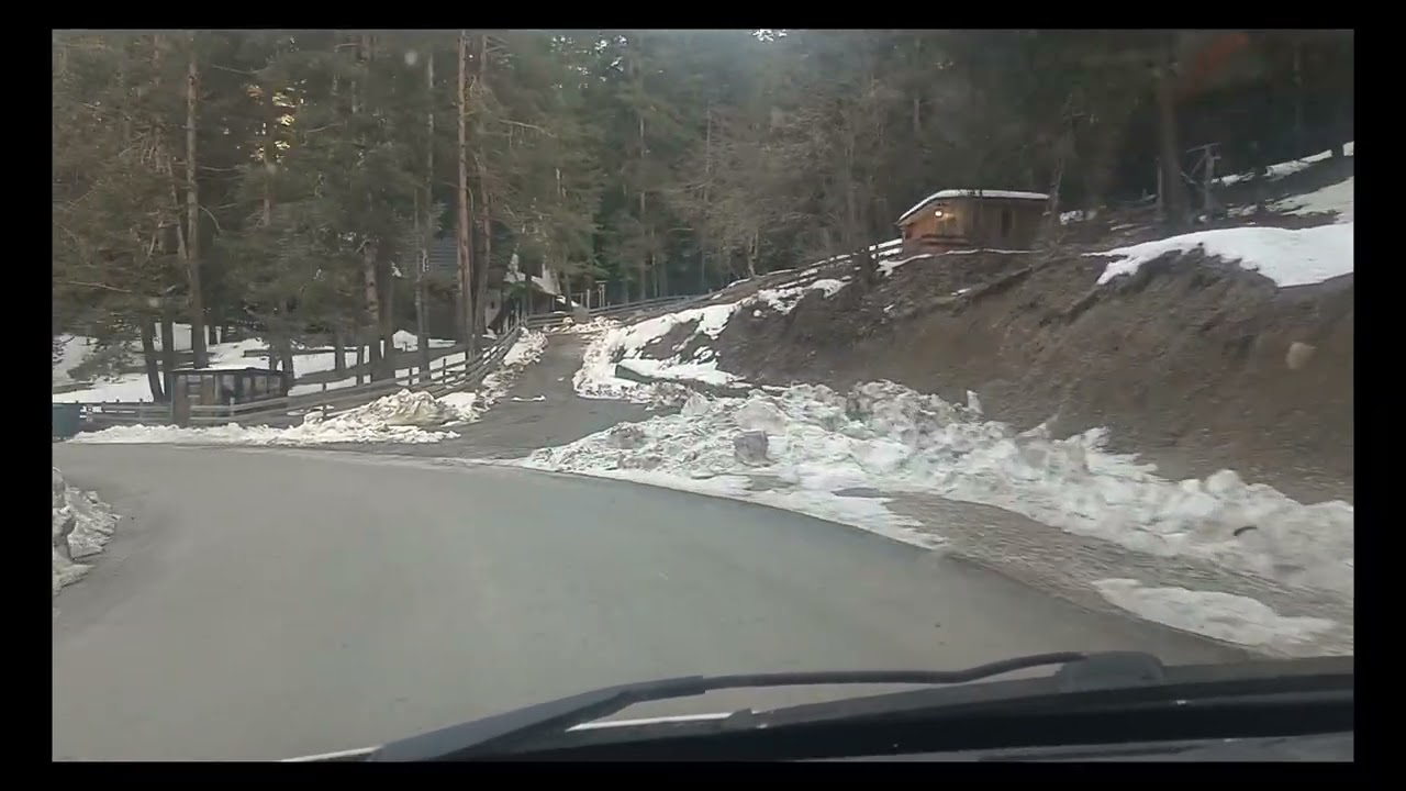 Барсутра. Ай да мускулисты телеонанисты.