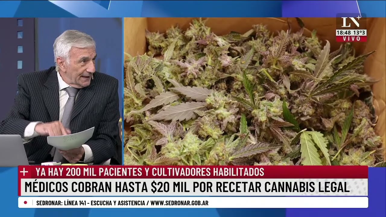 Médicos cobran hasta $20 mil por recetar cannabis legal