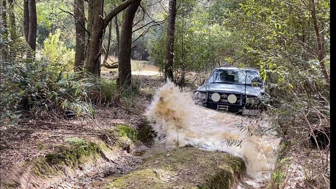 Oldina Tracks Tassie 4x4