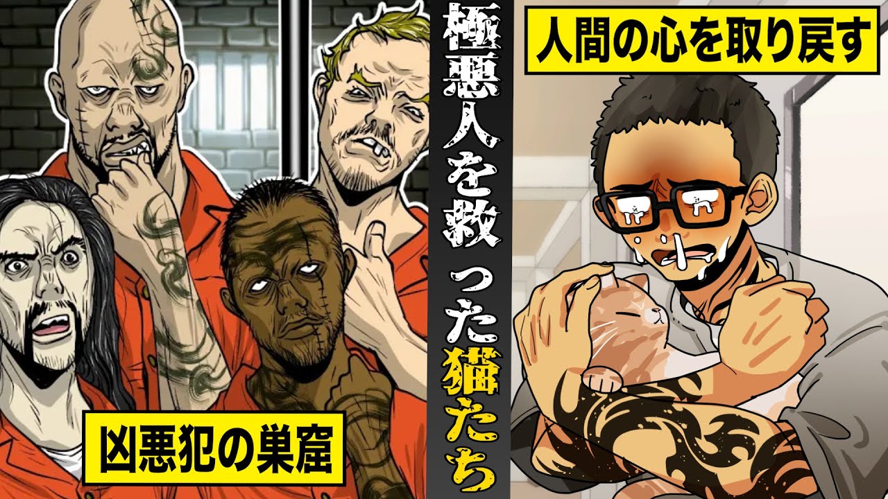 【感動】凶悪犯だらけの刑務所で...猫を飼ったら救われた。極悪人が人間の心を取り戻す。