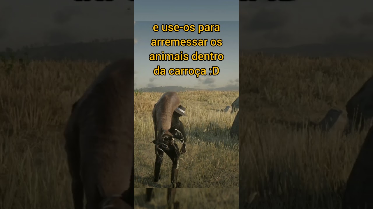 dica para iniciantes! #reddeadredemption #reddeadonline #iniciante #carro&ccedil;a #rdr2 #rdo #dica #dicas