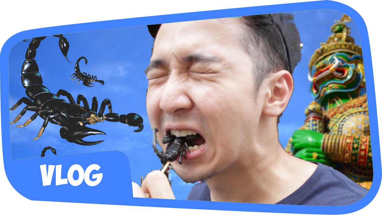 THAILAND BANGKOK TRAVEL VLOG !