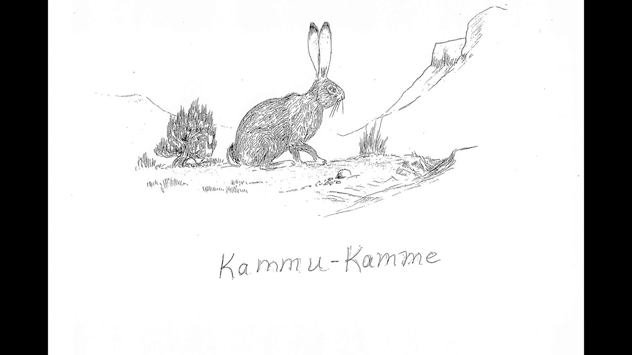 Shoshoni Language Learning - Animals