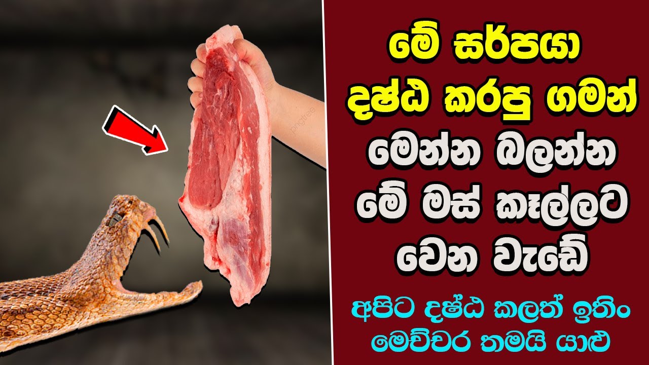 ඔබ මේවා දකින්නේ ජිවිතේ පළමු වතාවට EP:274
