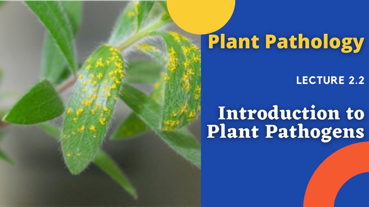 Introduction to Plant Pathogens | Plant Pathology Lecture 2.2 | By Abhay Sarva Sir | AgriMoon