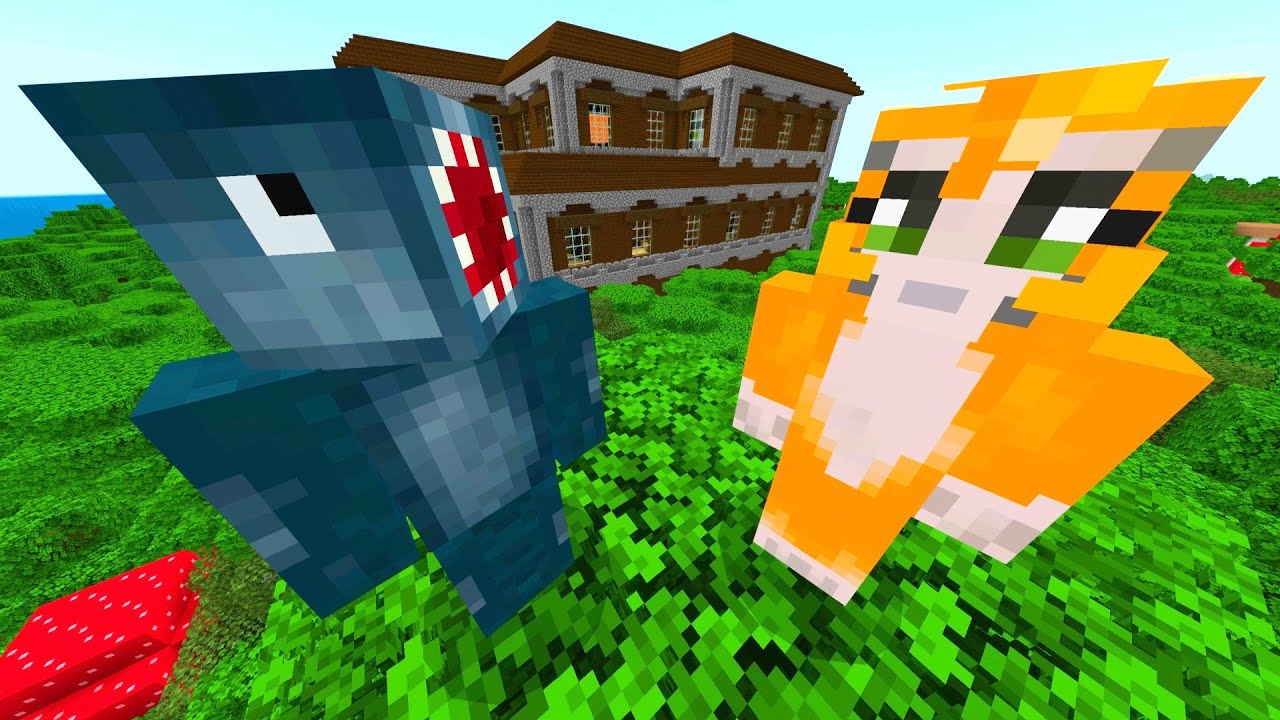 Teddy Rescue Challenge - Challenge