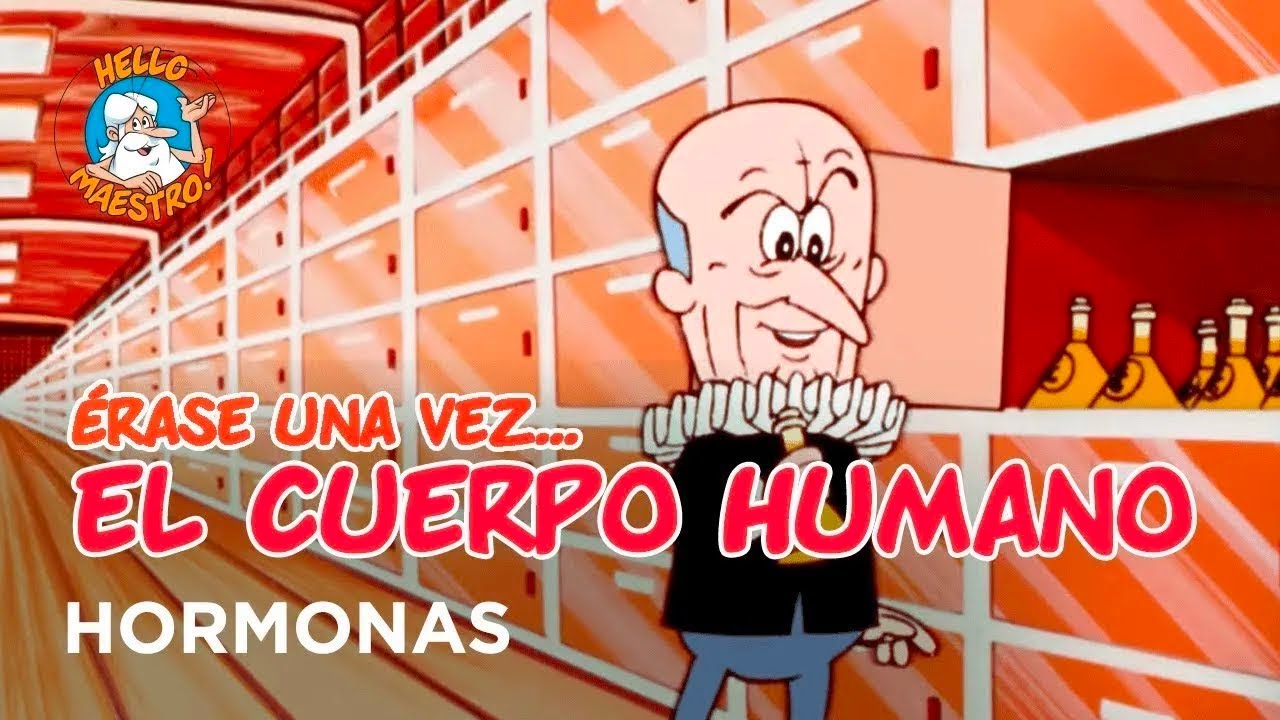 Erase Una Vez... El Cuerpo Humano - Hormonas - Hello Maestro