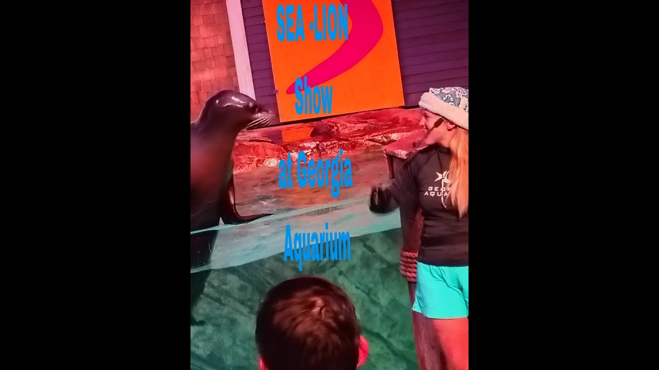 Atlanta তে Georgia Aquarium এ অপূর্ব  Sea-Lion show দেখলাম। কি যে ভালো লাগলো  🙂😊 Video টা দেখুন 
