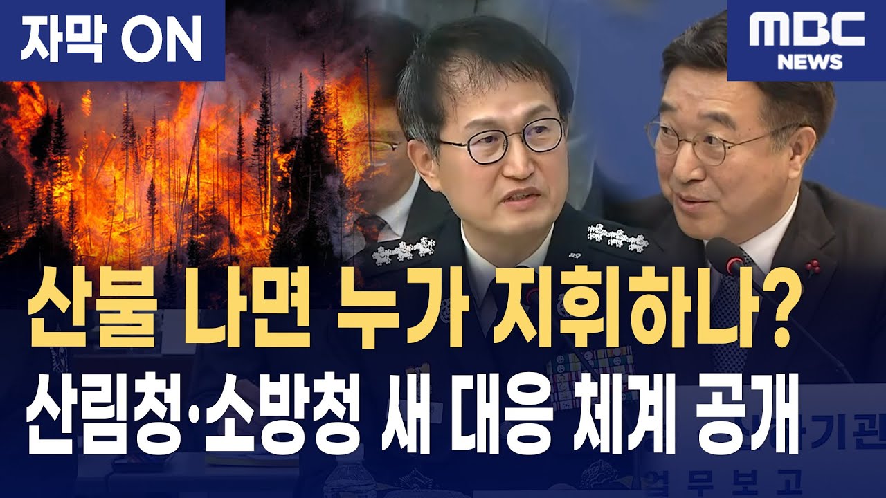 [자막] 대형 산불, 지휘 체계 바뀌었다··· 산림청·소방청 역할 분담은?