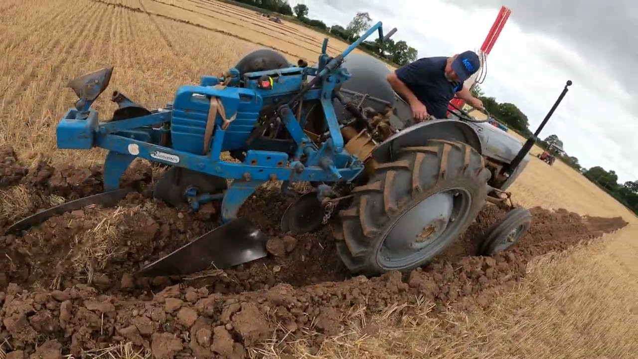 1957 Ferguson FE35 Gold Belly 2.3 Litre 4-Cyl Diesel (34 HP) Ransomes Ivanhoe Ploughing Match 2025