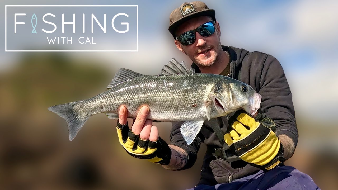 BASS | CATCH & COOK | LURE FISHING FOR BASS | PAN FRY FISH IN MINUTES!