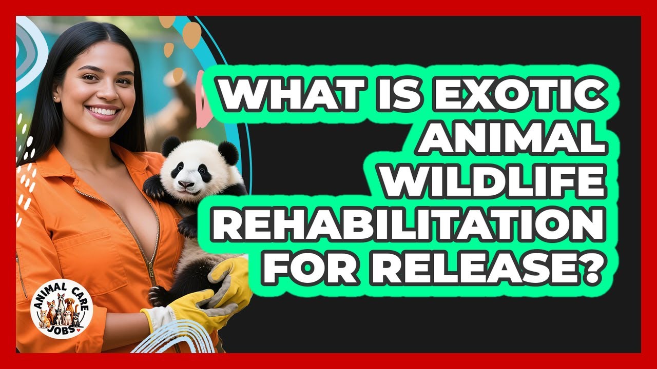 What Is Exotic Animal Wildlife Rehabilitation For Release? - Animal Care Jobs