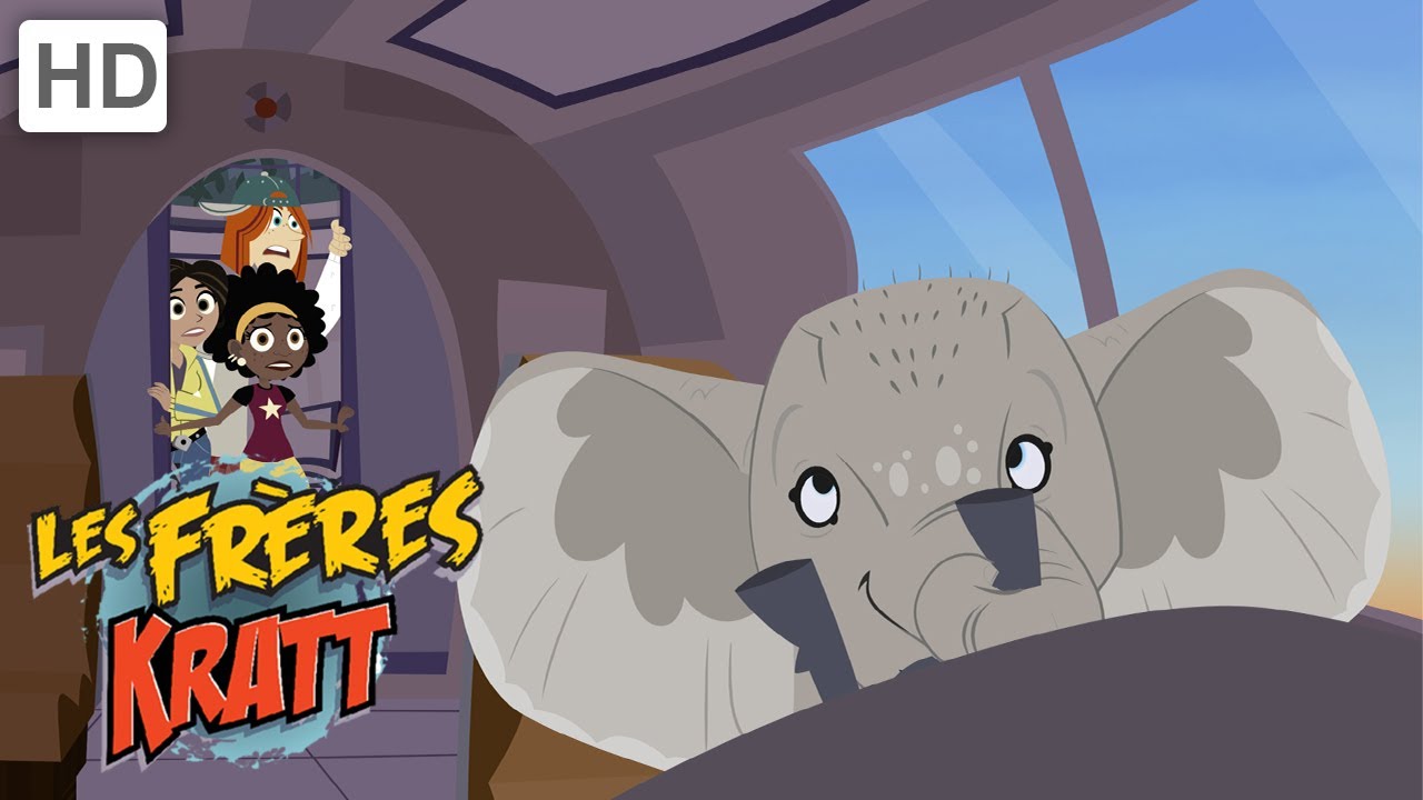 Les Frères Kratt |Éléphant Dans La Chambre| Saison 1