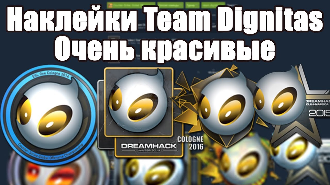 НАКЛЕЙКИ TEAM DIGNITAS ОЧЕНЬ ВЫГОДНАЯ ИНВЕСТИЦИЯ!