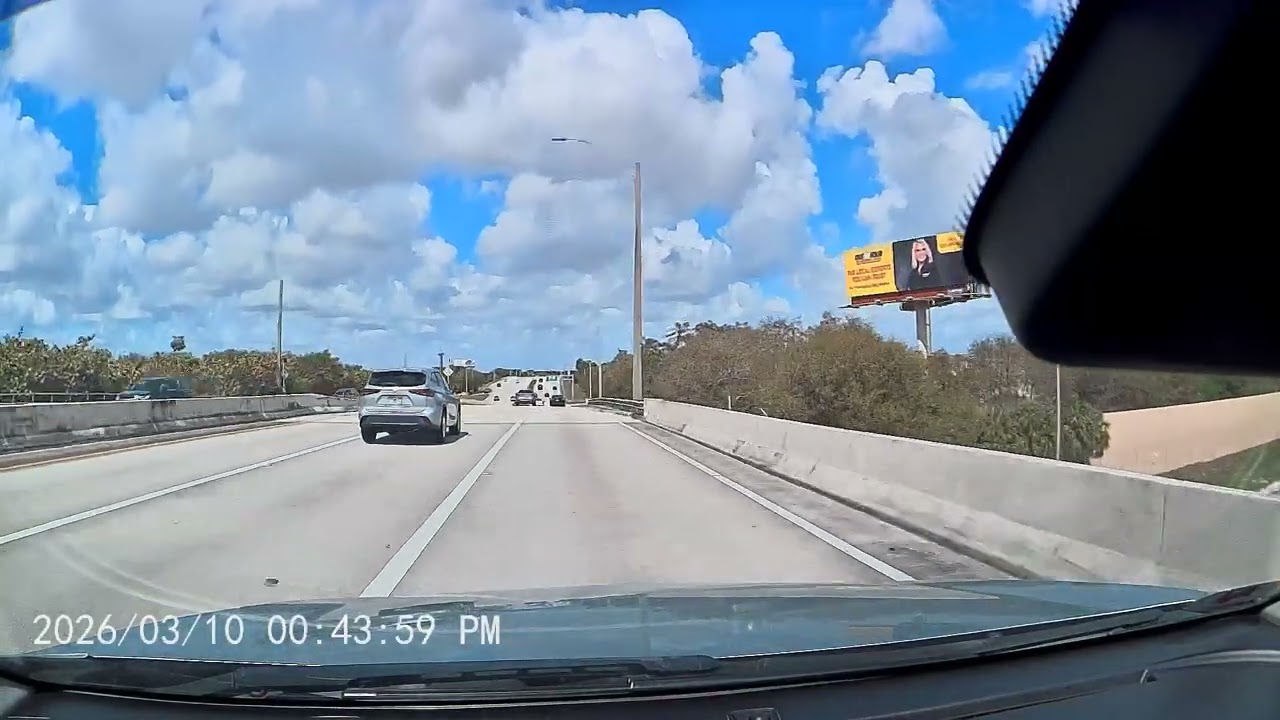 Only in Florida: The Most Unreal Highway Moment Ever Recorded