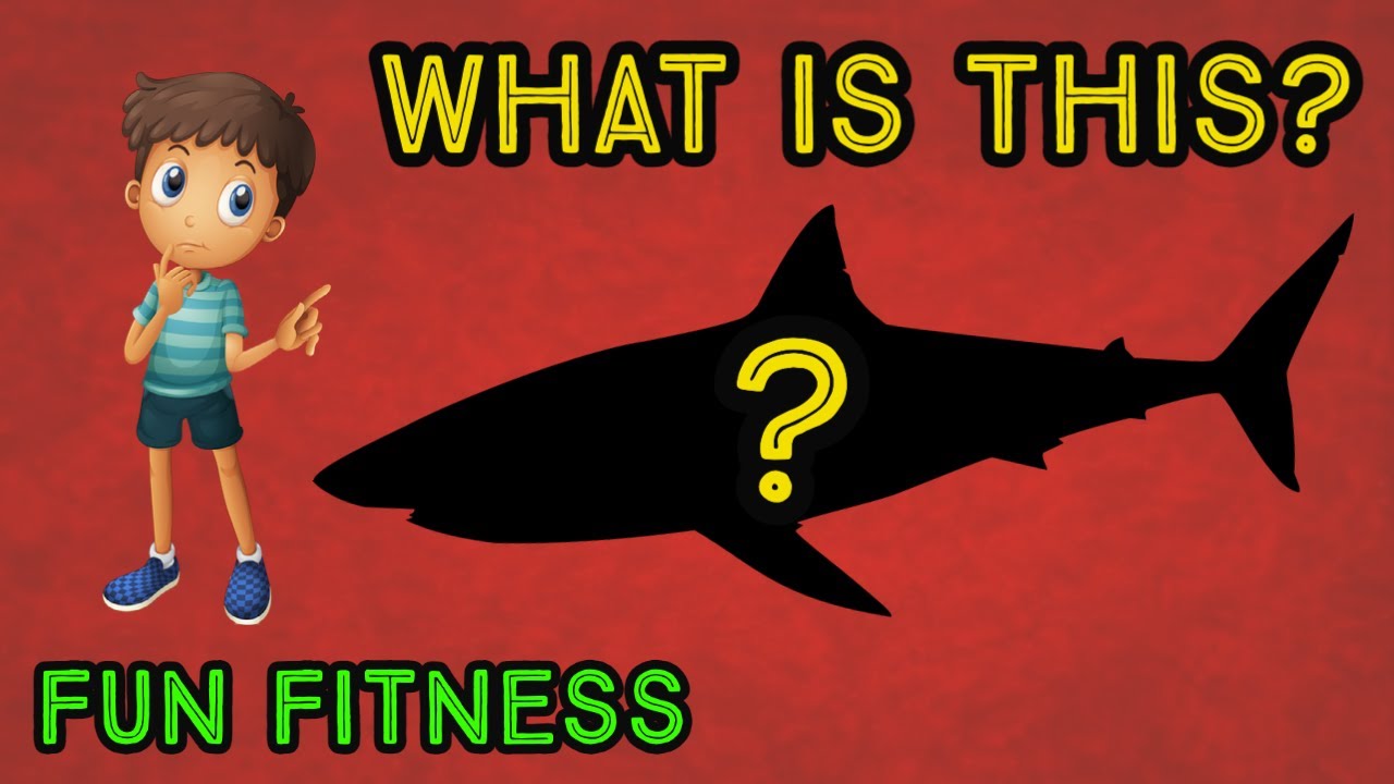 What Is This? WORKOUT - At Home Fitness Fun for Kids and Family  - Physical Education